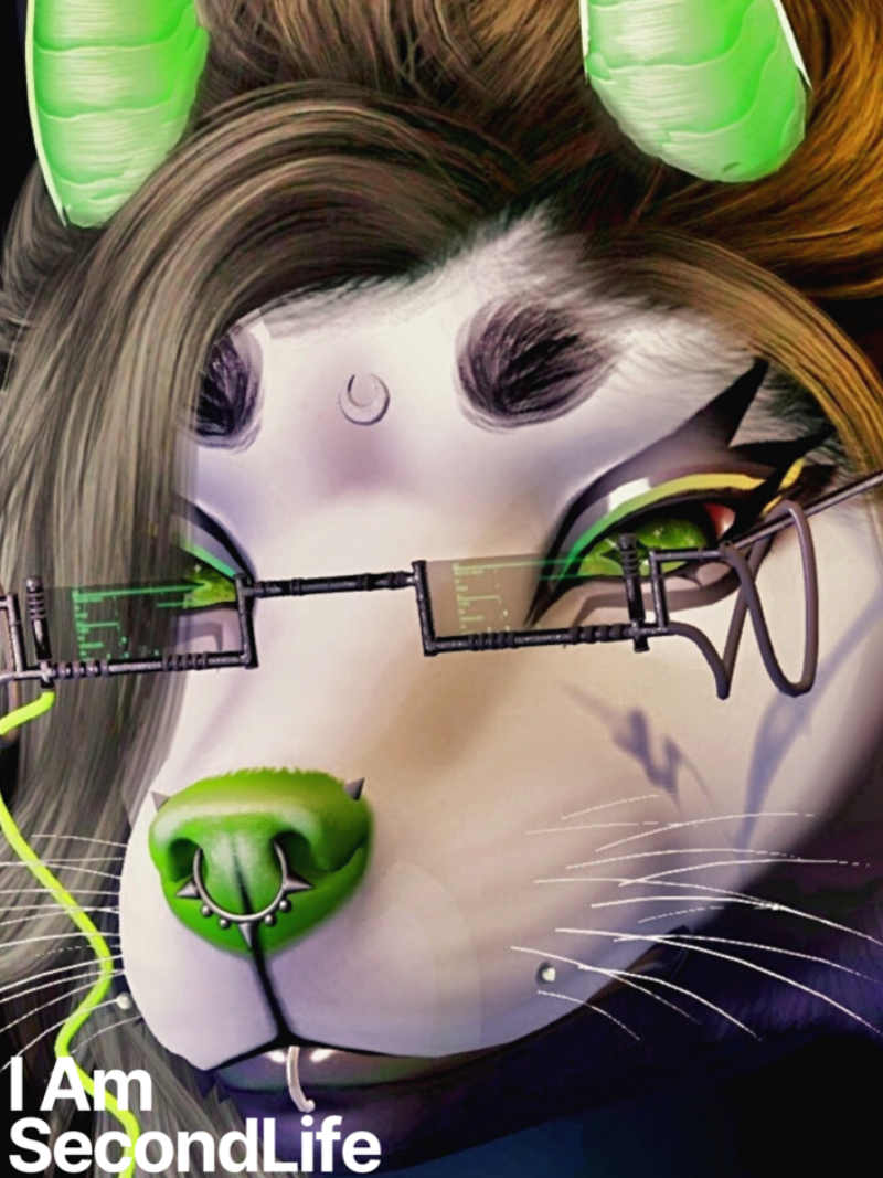 I Am Second Life - Graves