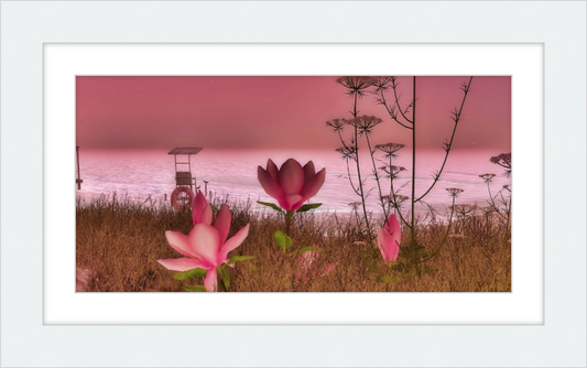 Shore In Bloom - Framed